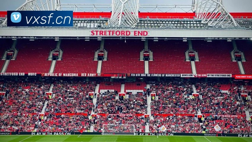 巅峰国际手机版官方下载平台生态图