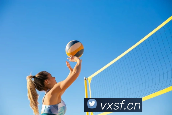 巅峰国际手机版官方下载APP 封面图